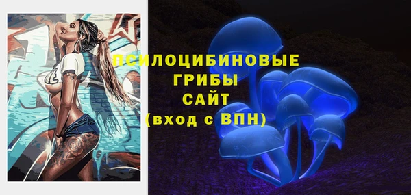 apvp Абаза