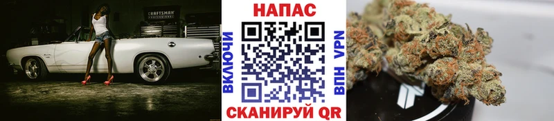 Конопля Bruce Banner Аксай